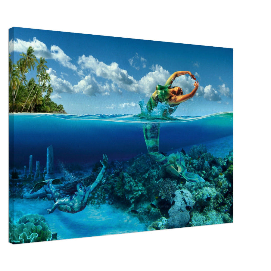 FISCHE / PISCES Zodiac Leinwandbild