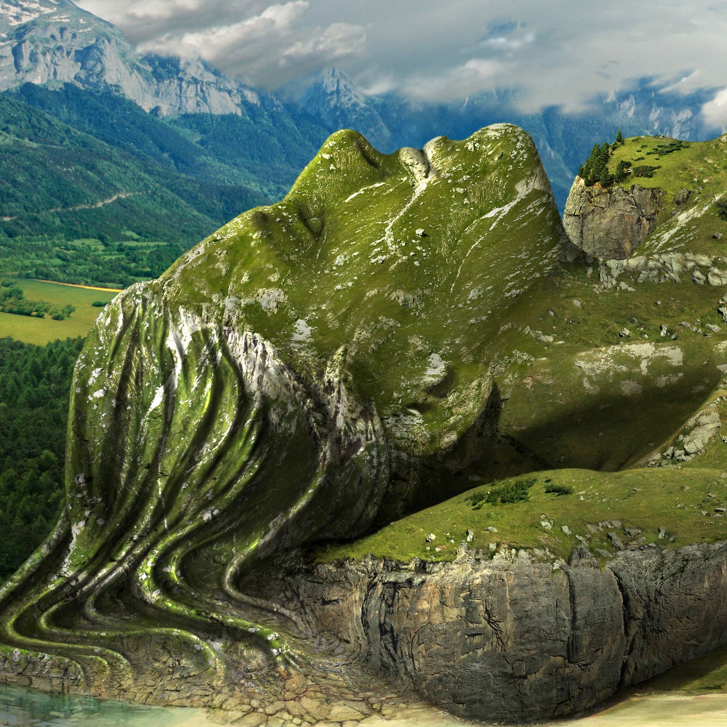 Beauty of nature - Kunstdruck+ weißer Rand