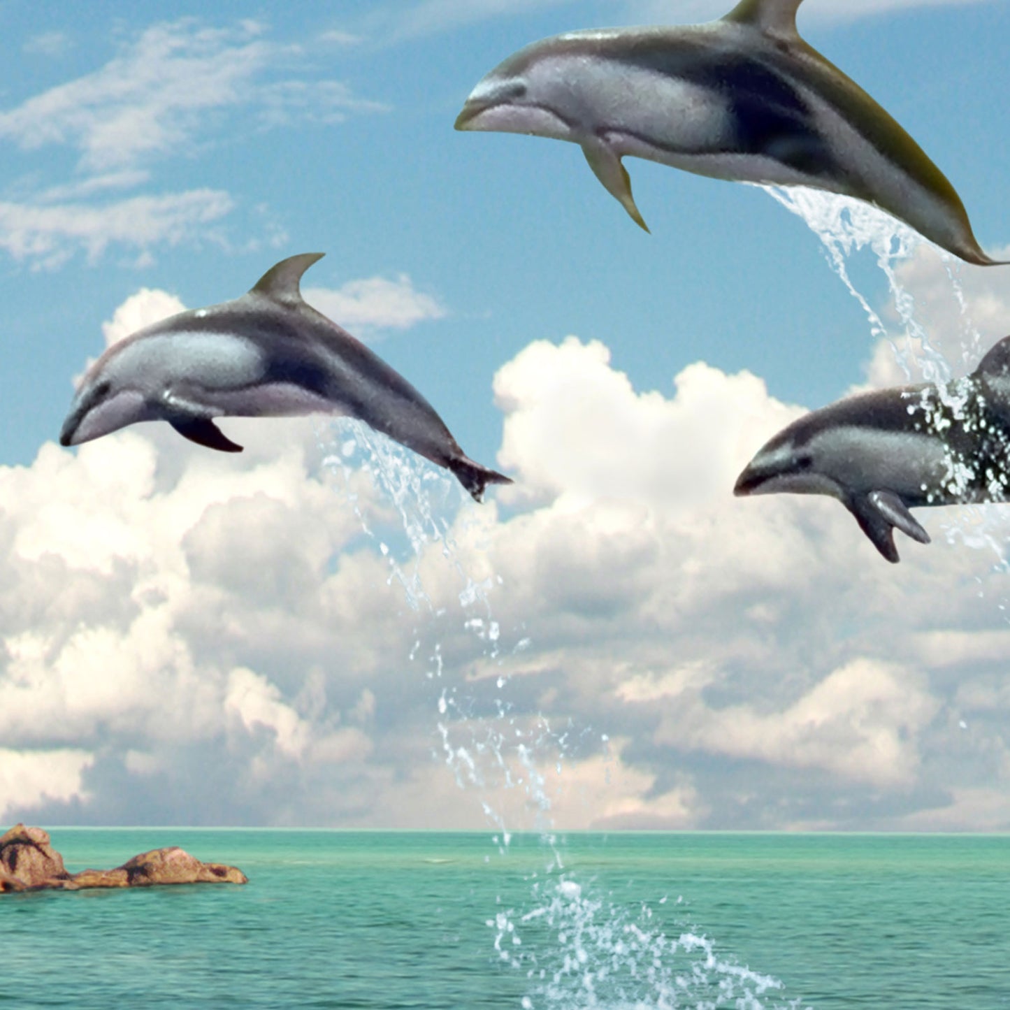 Dolphin Paradise - Kunstdruck+ weißer Rand
