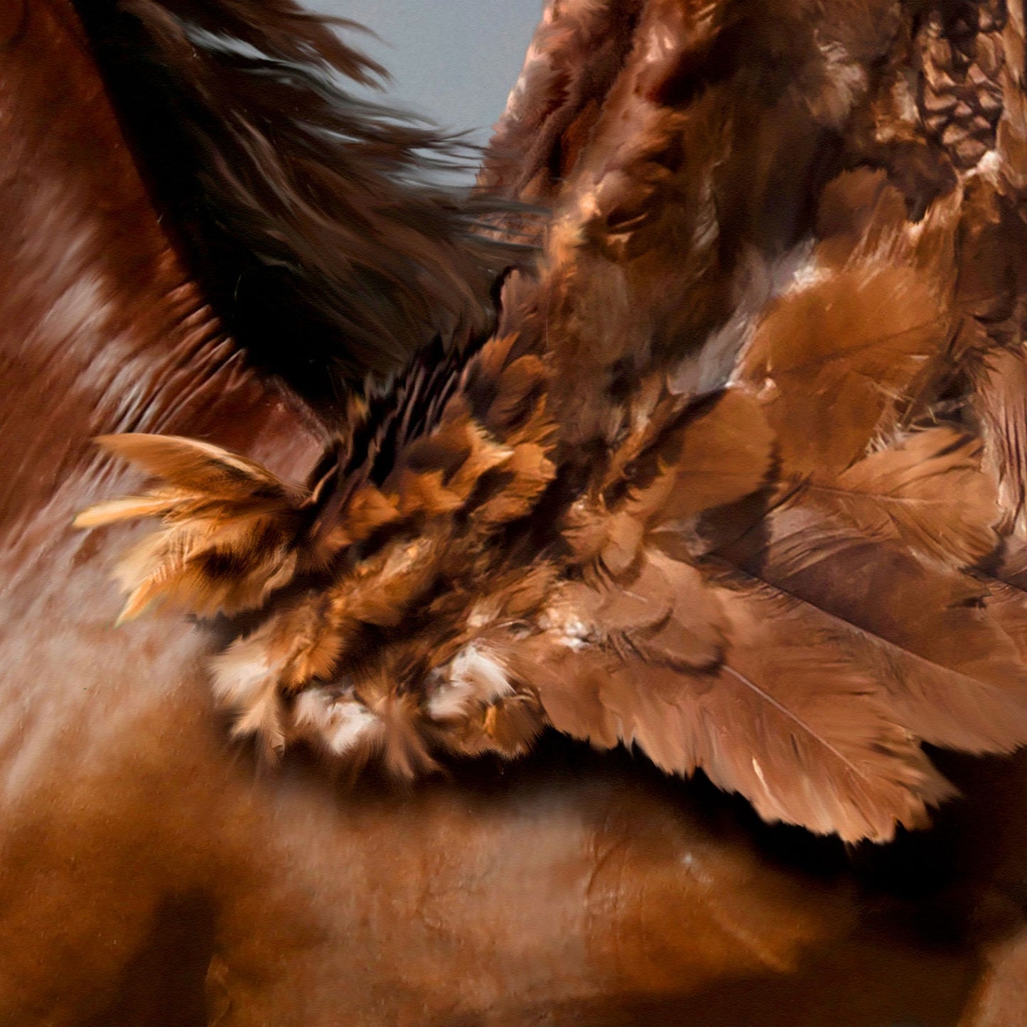 Pegasus - Kunstdruck+ weißer Rand