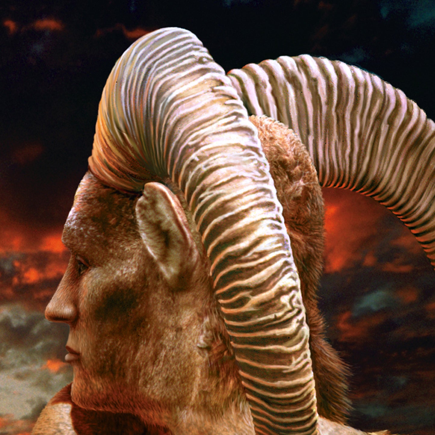 Aries / Aries - Lienzo enmarcado