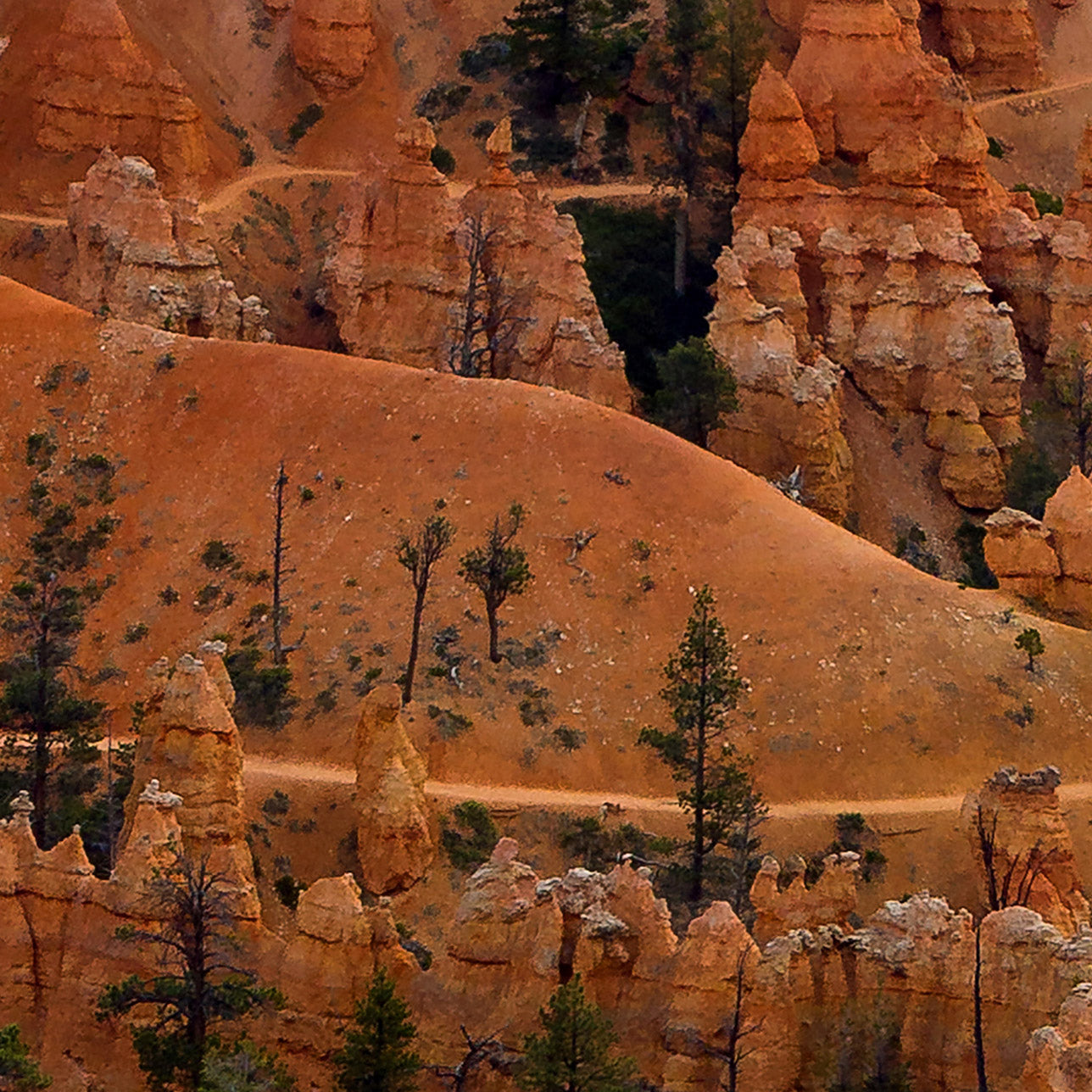 Bryce Canyon 01-Leinwandbild