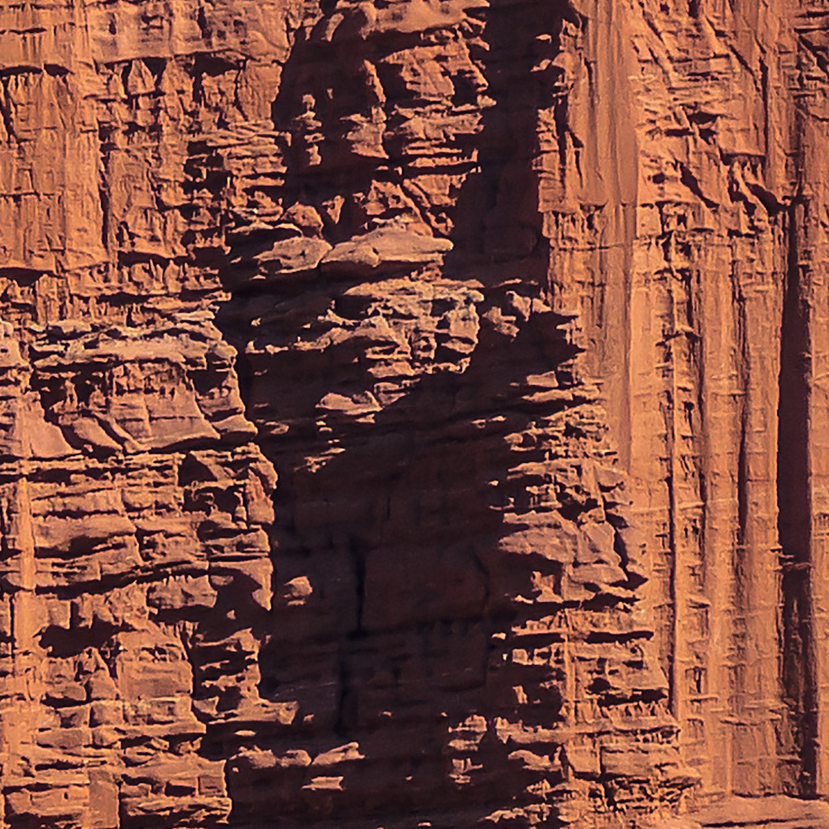 Fisher Towers - Gerahmte Leinwand