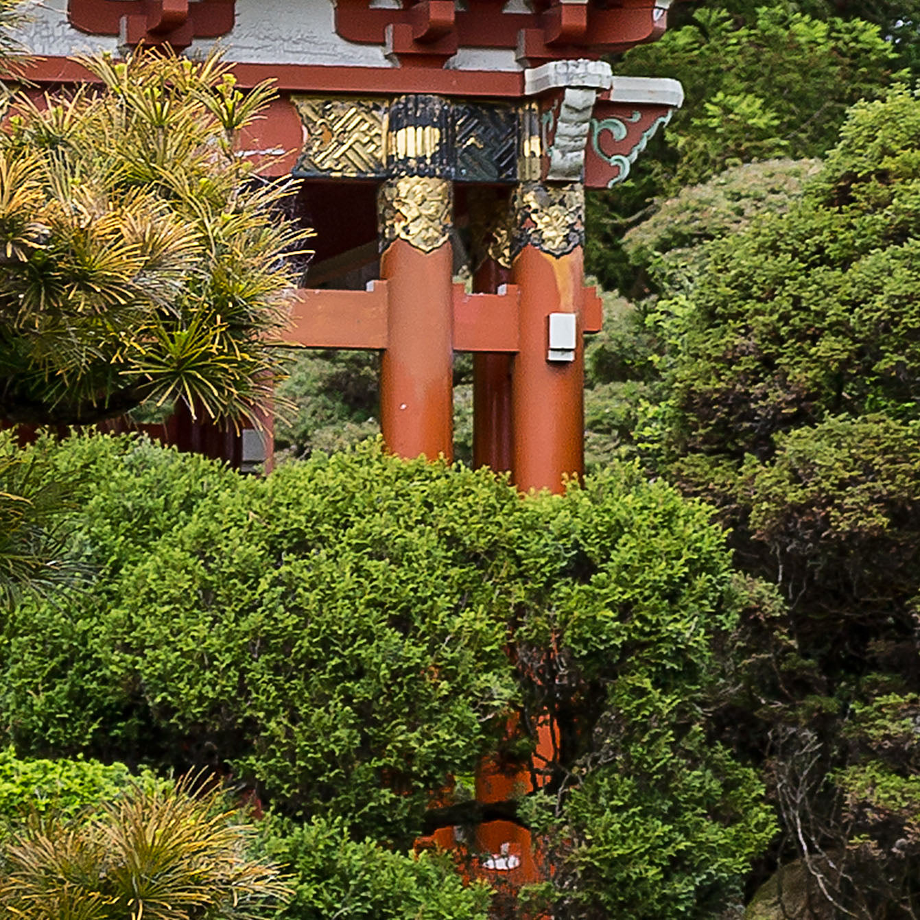 San Francisco_Japanischer Garten 01 - Kunstdruck+ weißer Rand