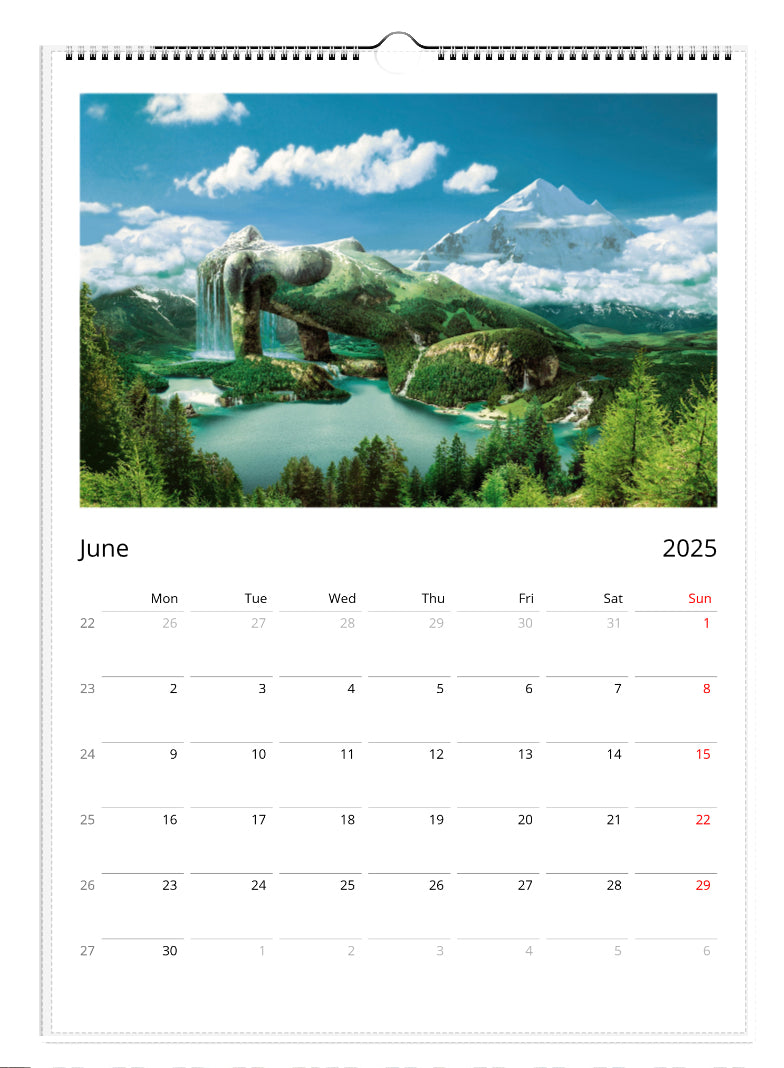 Metamorphosis - wall calendar 2025 (ENG)