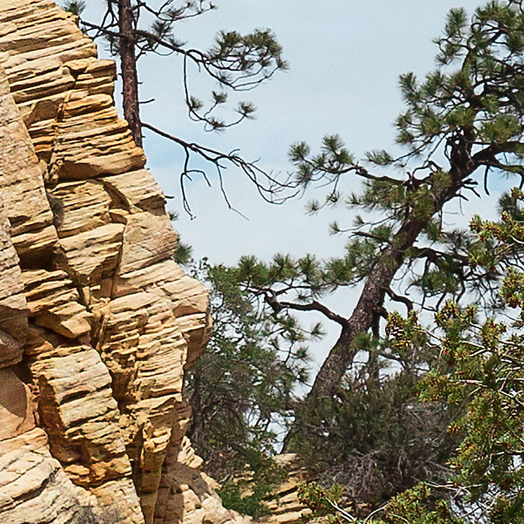 Zion Canyon 01 - Gerahmte Leinwand