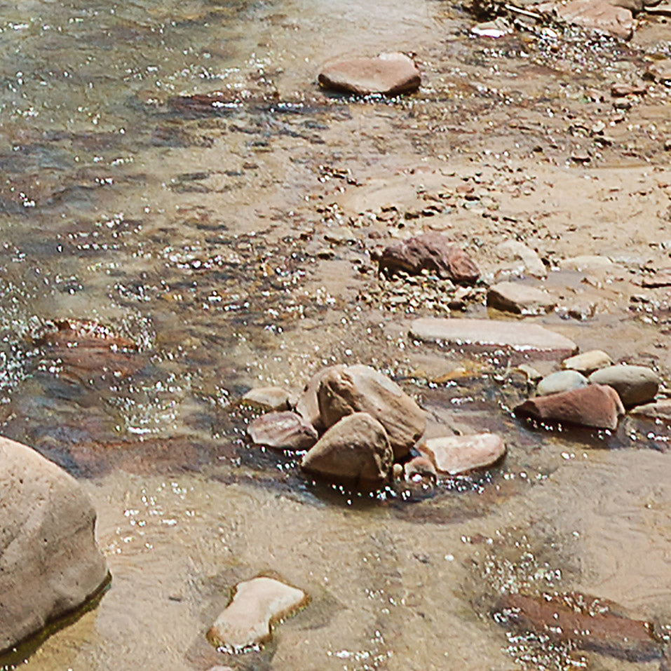 Zion Canyon 03-Leinwandbild